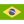 lingua-portugues-brazil
